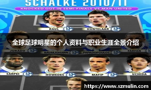 全球足球明星的个人资料与职业生涯全景介绍