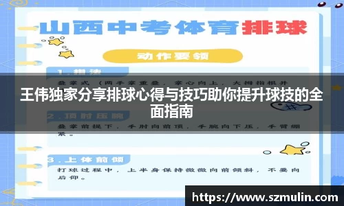 王伟独家分享排球心得与技巧助你提升球技的全面指南